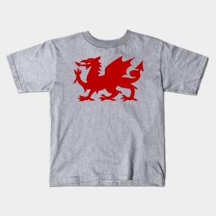 Welsh Dragon Kids T-Shirt